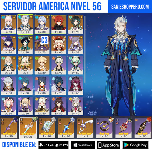 [AR 56] ⭐️ Kokomi + Neuvillette + Ayato + Xiao + Raiden Shogun + Venti + Klee + Xilonen + Keqing + Jean + Diluc (con skin)