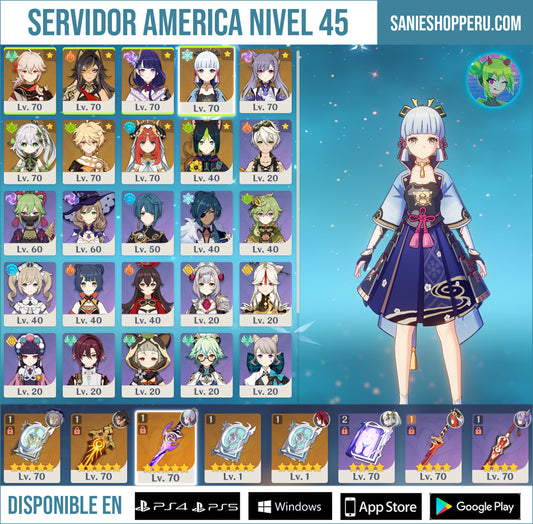 [Nivel 45] ✨ Kazuha + Raiden Shogun + Ayaka + Nahida + Nilou + Keqing + Tighnari + Oracion Perdida + Llave de Coronacion + Reflejo de las Tinieblas + Oracion Perdida x2